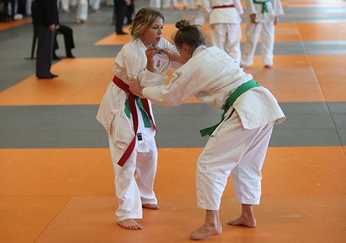 Grand Prix de Judo (59) copie