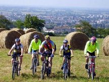 VTT