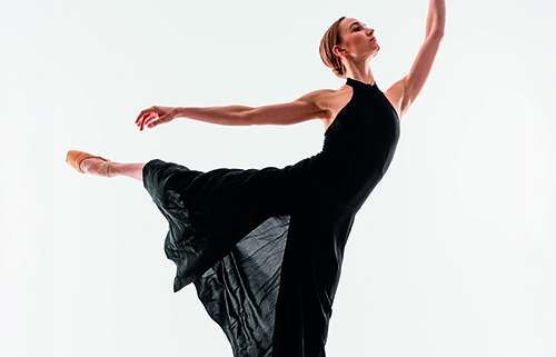 agenda Danseuse copie