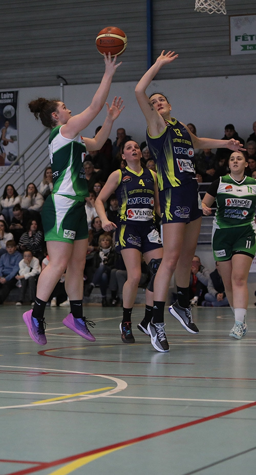 Basket-Chantonnay 39-45 ok