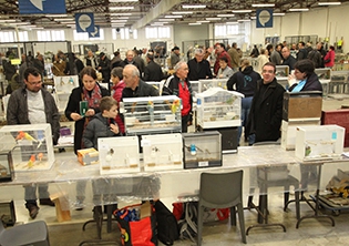 bourse aux oiseaux