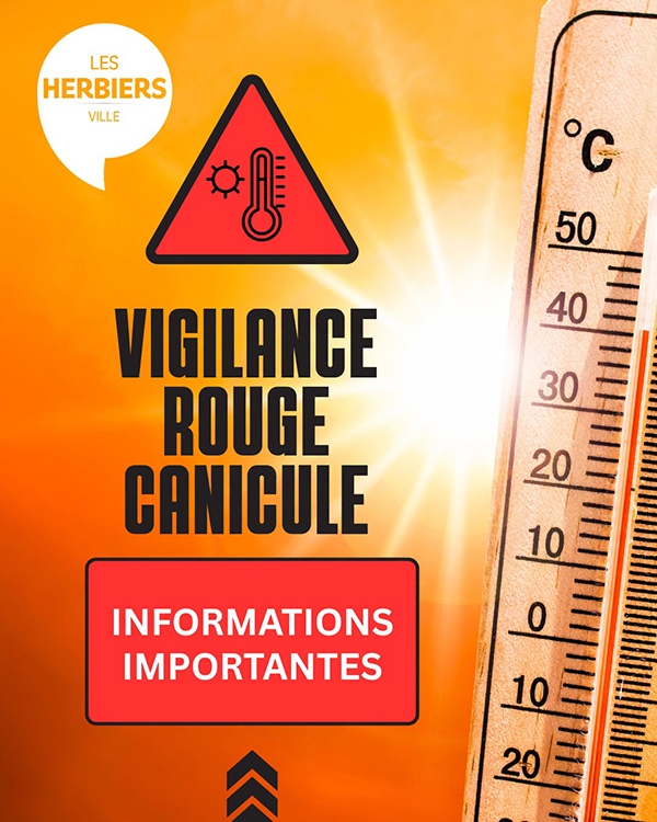 canicule big