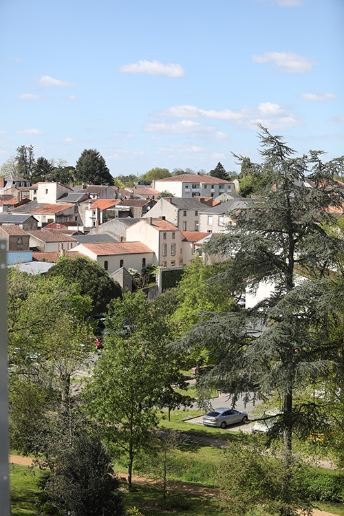 canicule big