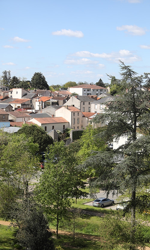 canicule