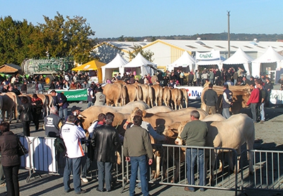 chrono foire agricole