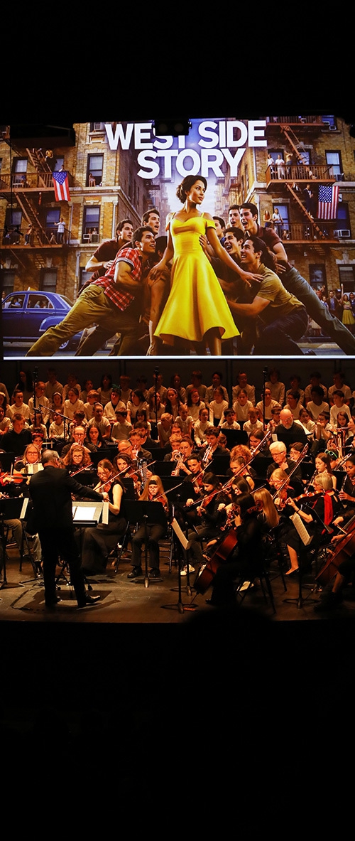 Concert de printemps (94) copie