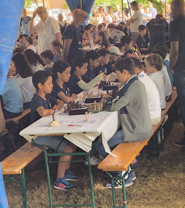 échecs article