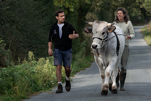 éco Crédit Photo Léonnie Biteau copie