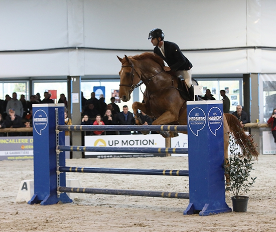 equitation article