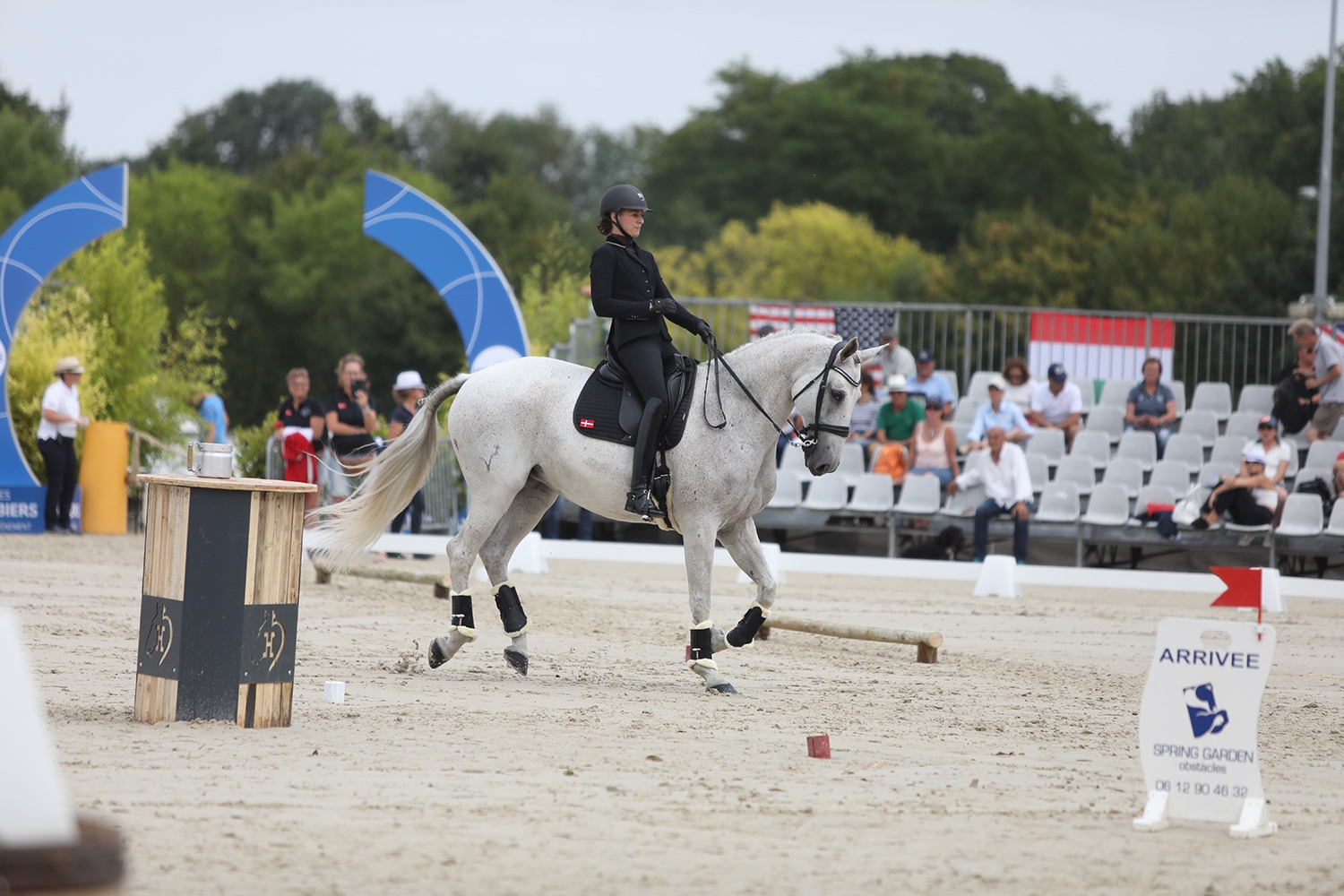 équitation de travail big