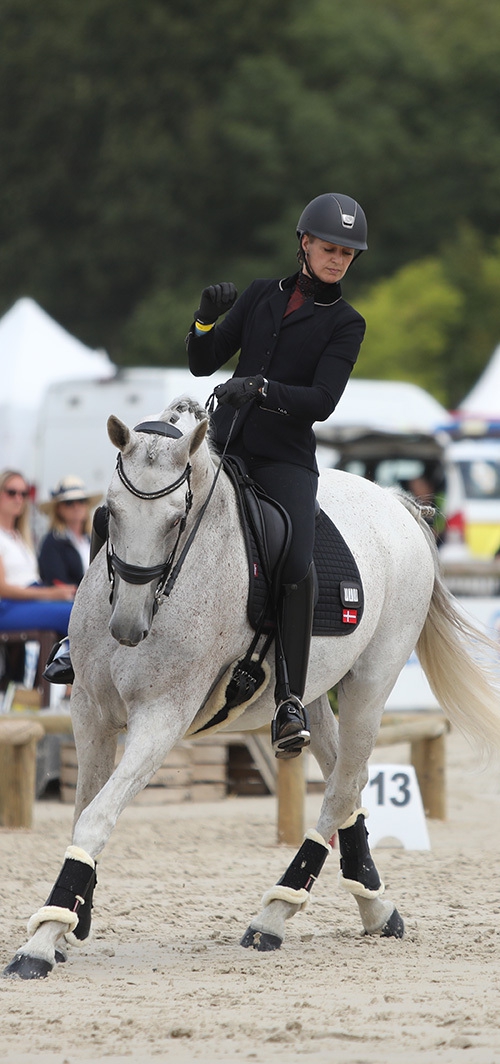 équitation de travail une