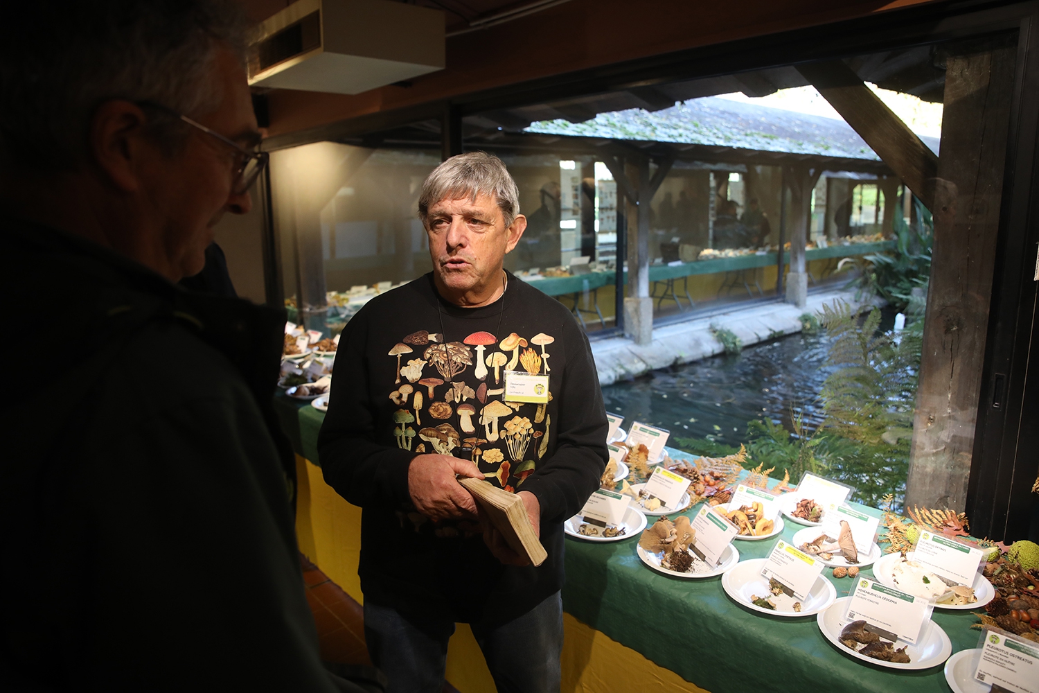 Exposition de champignon big