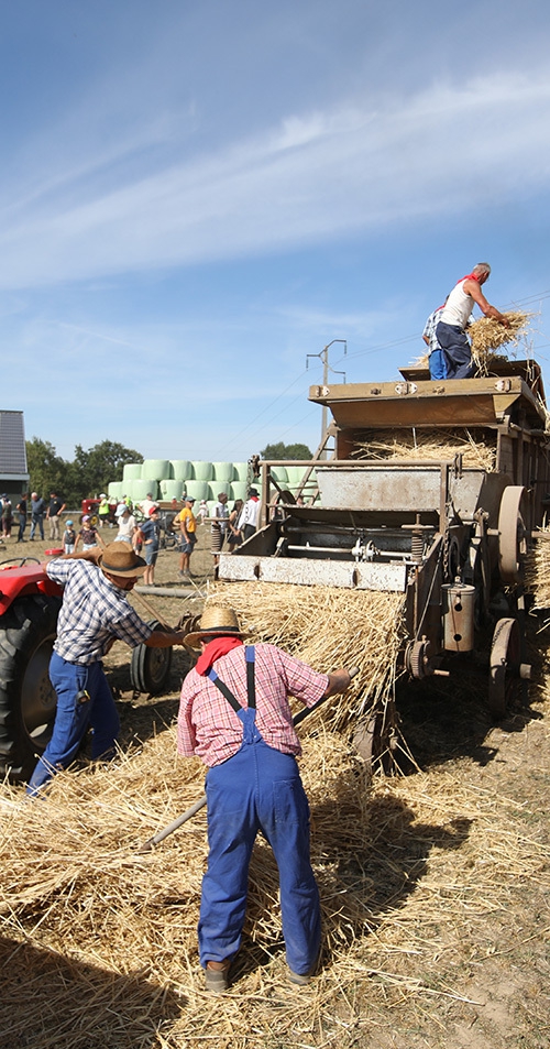Fête des battages au Pays des Herbiers une