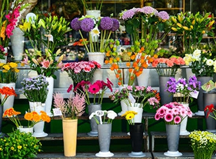 fleuriste ok
