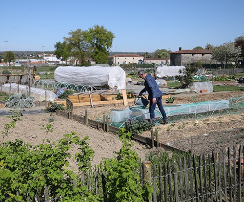 jardins familiaux (58) copie article