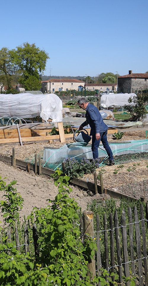 jardins familiaux (58) copie