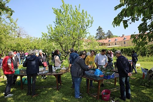 marché d'été boistissandeau