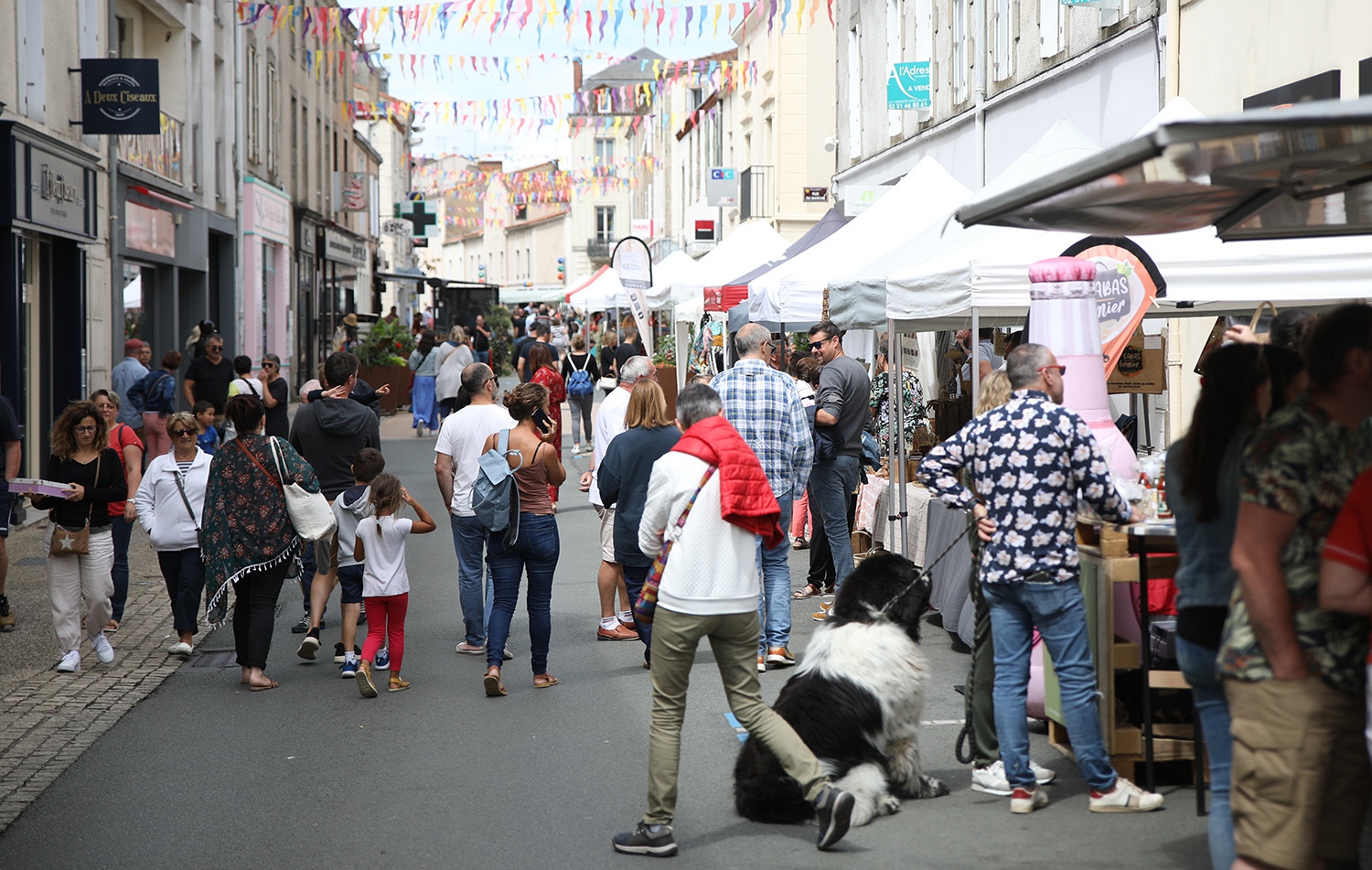 marché ok