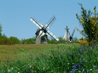 mont des Alouettes