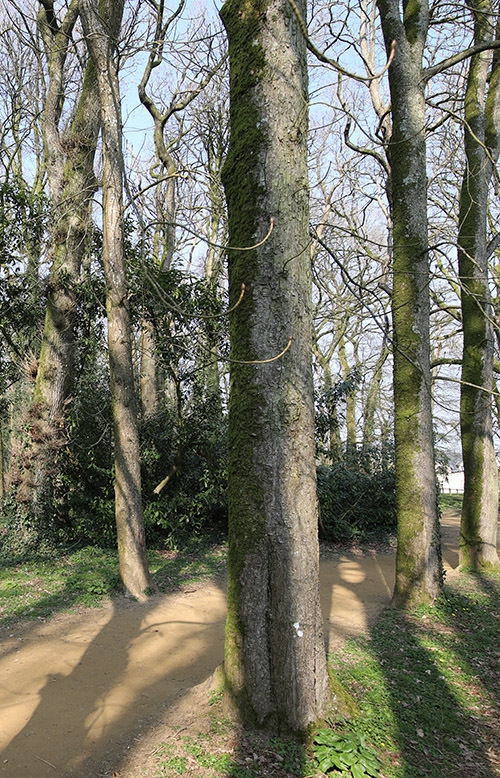ParcDuLandreauMars20219 copie une