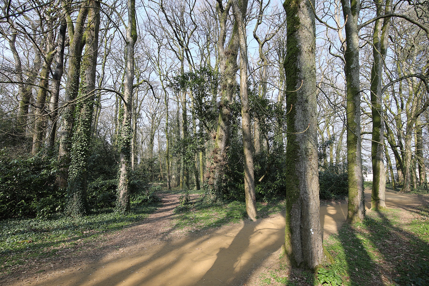 ParcDuLandreauMars20219 copie