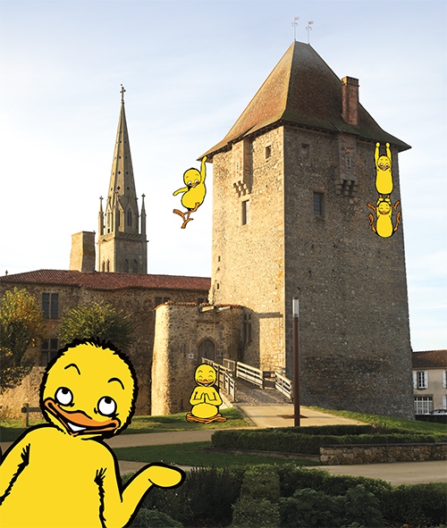 PhotoPoussins article