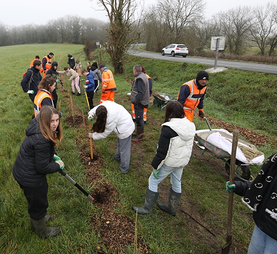 plantations d'arbres Mont des Alouettes (73) copie bis