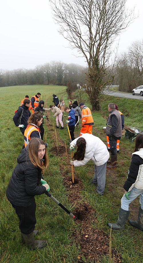 plantations d'arbres Mont des Alouettes une