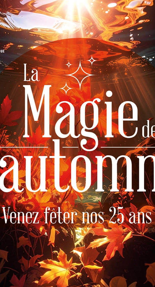 RS_LesHerbiers_MagieAutomne_Oct25_HD copie