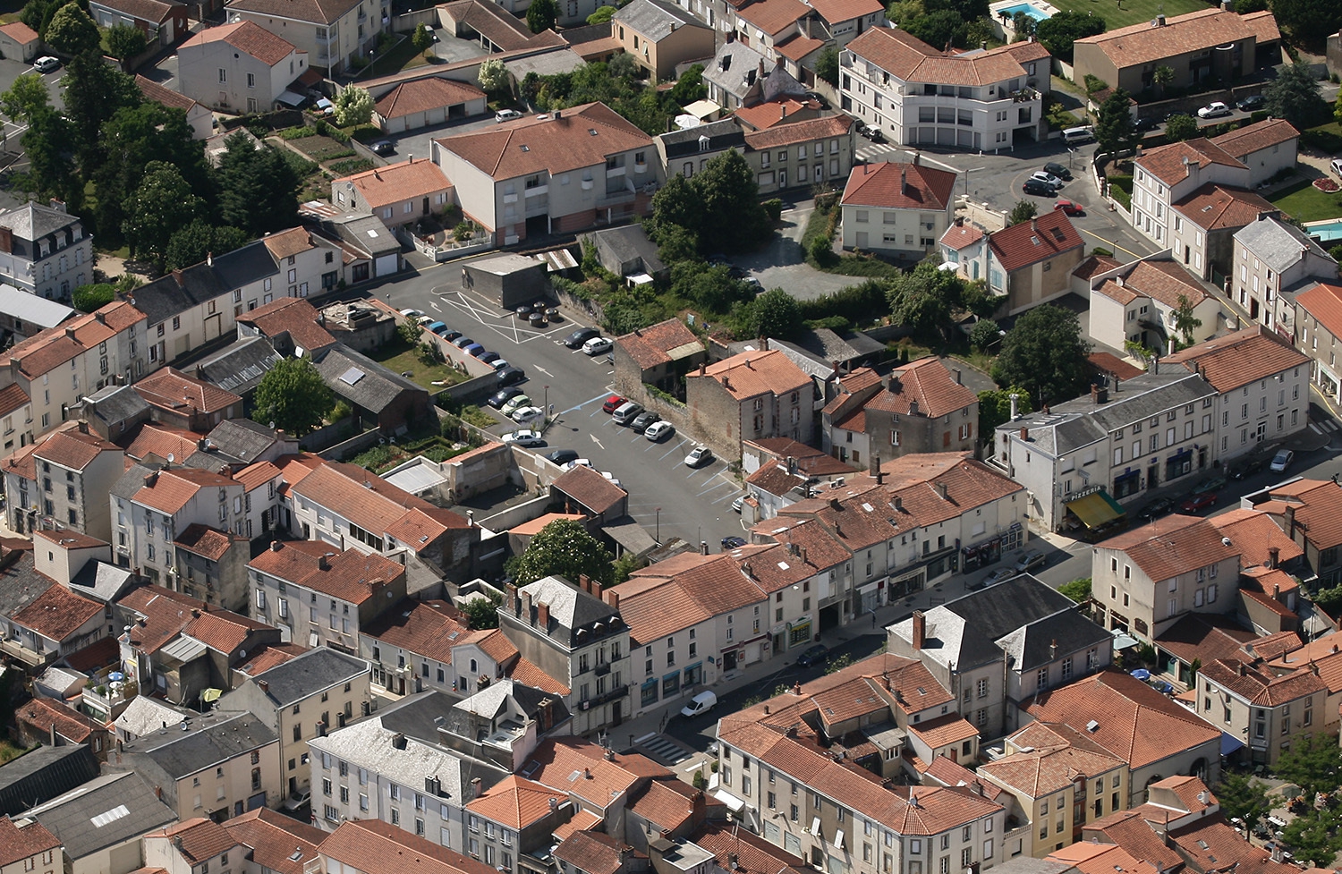 saint-jacques big