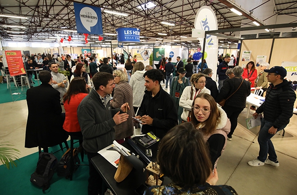 salon de l'emploi article