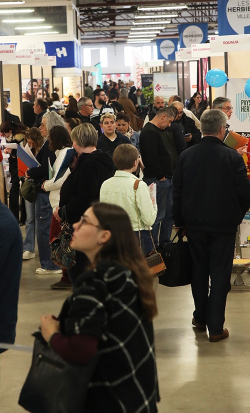 salon de l'emploi ok