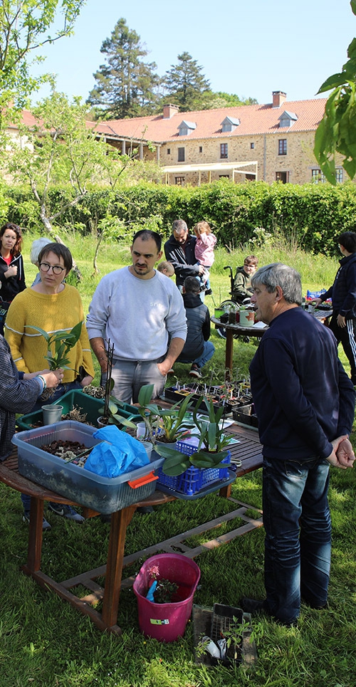 TrocAuxPlantsCouleursBoistissandeau7 copie une