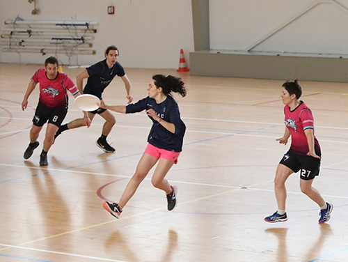 Ultimate régional mixte indoor ok