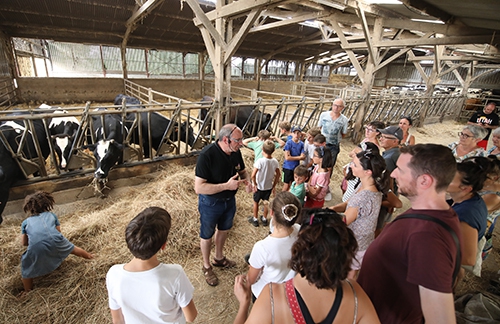 Visite à la ferme glace  ok