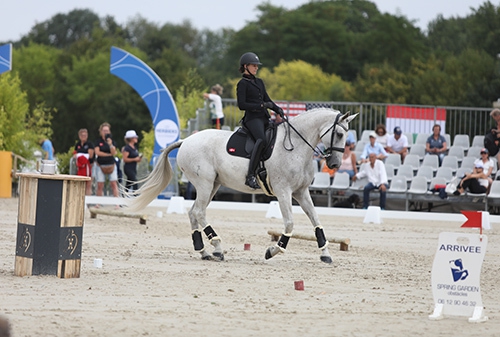 working équitation