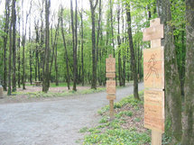 Bois de Dard