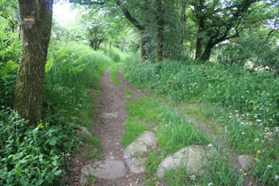 chemins