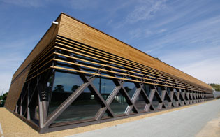 dojo