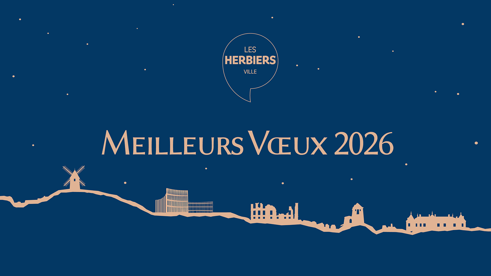 FB Meilleurs voeux ville copie