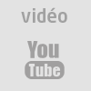 logo-youtube-gris