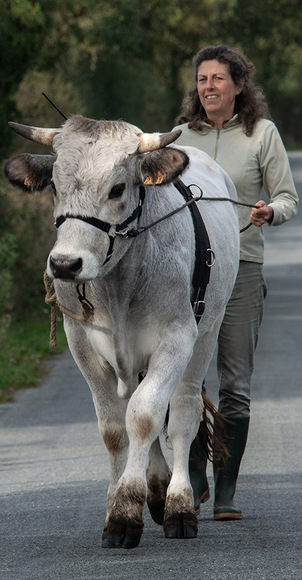 une économie 120224